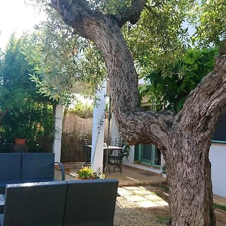 Carrer Flor De Sant Joan * Denia